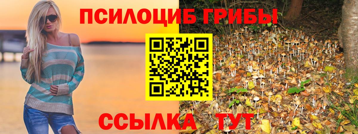 Псилоцибиновые грибы мицелий Кострома