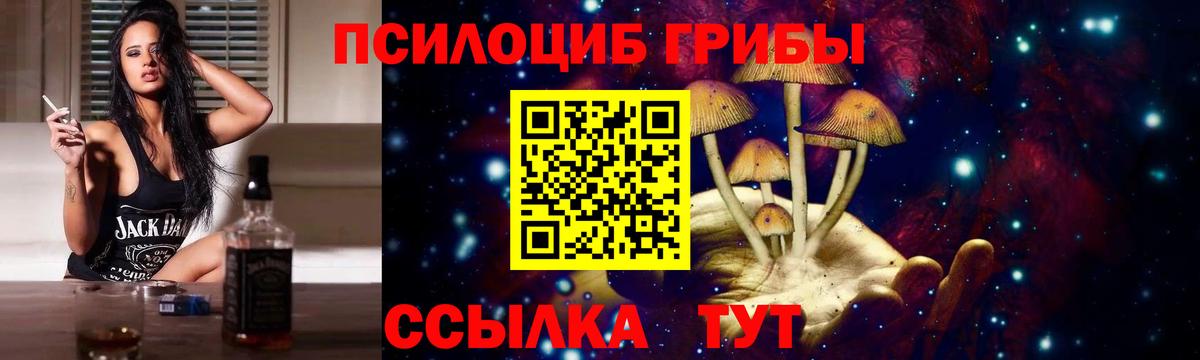 Кострома  Галлюциногенные грибы Psilocybe  Галлюциногенные грибы MAGIC MUSHROOMS  Вход с VPN 